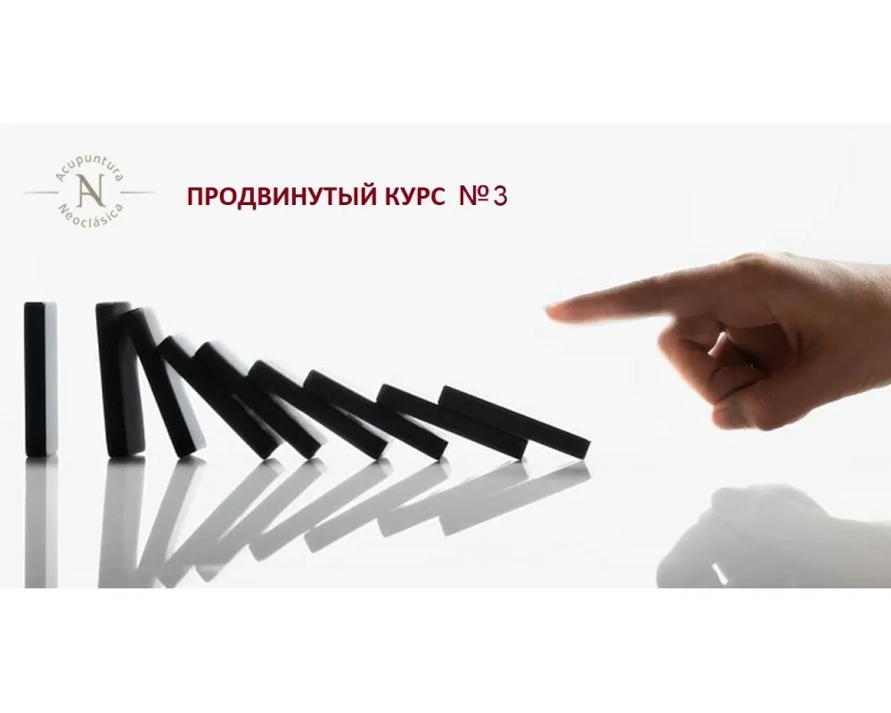 Неоклассическая акупунктура. Продвинутый курс №3 (Слейт Буррис)