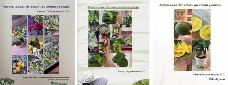 3 гайда Огурцы+томаты+салаты дома (Кристина Сидельникова)