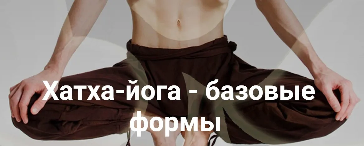 Хатха-йога - базовые формы. Тариф Мультимедиа на 120 дней (Михаил Баранов)