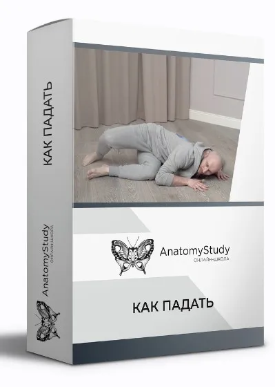 [Анатомия] Как правильно падать (Игорь Шпиньков)