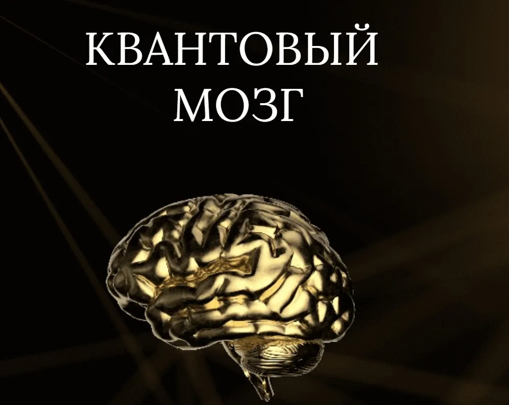 Квантовый мозг (Анна Камаллая Хефорс)