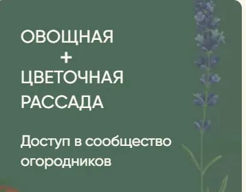 Рассада без досады. Овощная + цветочная рассада (Анна Акинина)