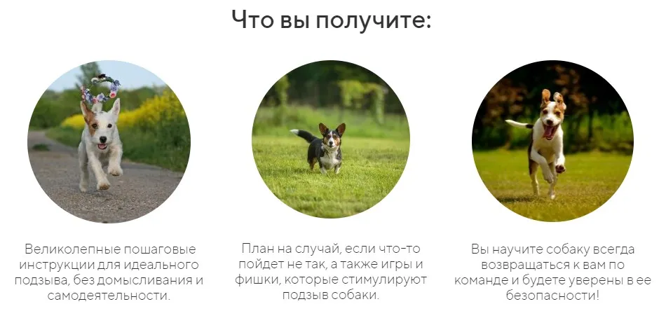 [kinologschool] Идеальный подзыв. Без поводка: как научить собаку идеальному подзыву (Антонина Зимарева)