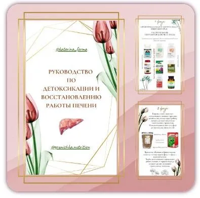 Руководство по восстановлению работы печени и детоксикации (Катерина Форма)