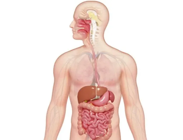[Sigh Energy] Исцеление пищеварительной системы / Digestive System Healing Powerful Plus +11x (Extra Strong)