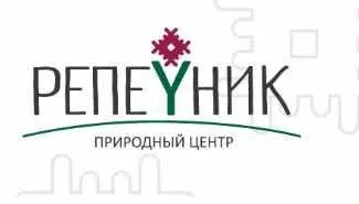 [Репейник] Мелколуковичные + Зачем укроп в цветник и как сочетать несочетаемое (Ирина Пыжикова)