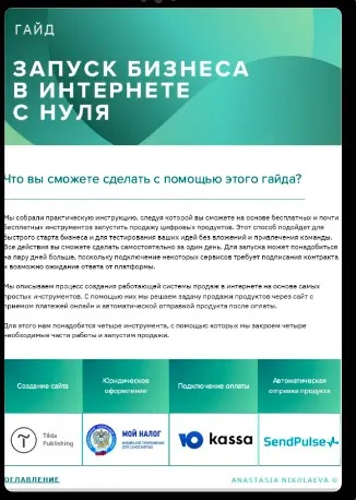 Гайд Начало бизнеса в интернете с нуля: пошаговая инструкция (Анастасия Николаева)