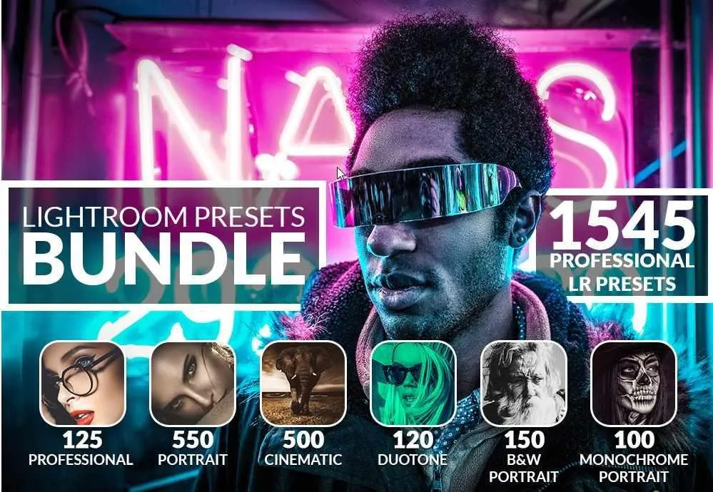 1500 + Комплект профессиональных пресетов Lightroom