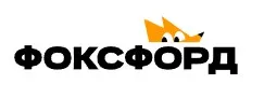 [Фоксфорд] Литература Интенсив. Базовый уровень 11 класс (Ольга Евсеева)