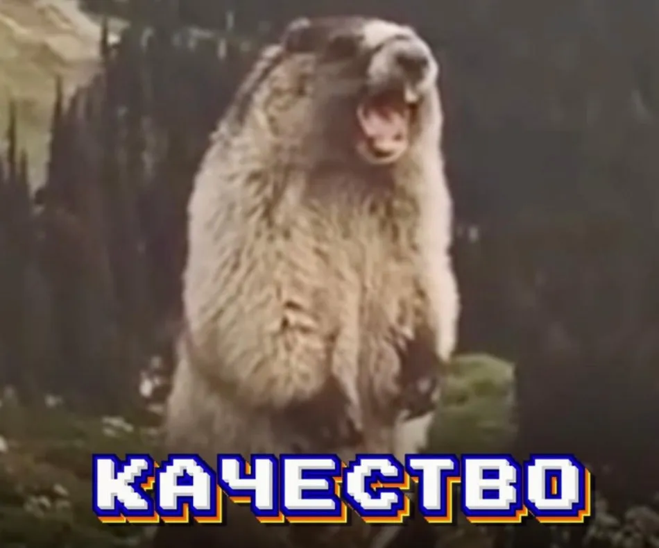 Качество (Виталий Унжаков)