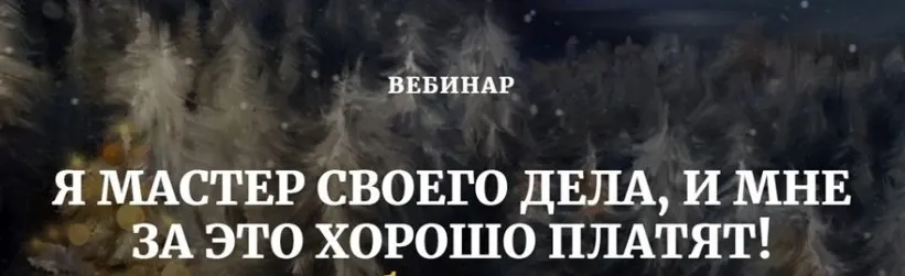 Я мастер своего дела и мне за это хорошо платят (Наташа Бартон)