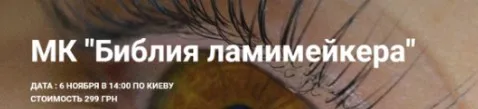 [BrowIt] Библия ламимейкера (Анна Ромашенко)
