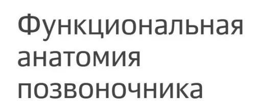 [Колледж Вейдера] Функциональная анатомия позвоночника (Ольга Кульбах)