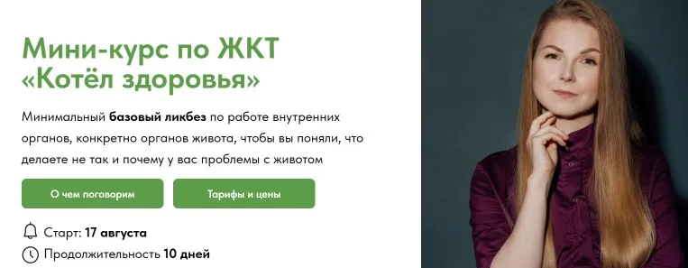 Мини-курс по ЖКТ «Котёл здоровья». Тариф Без обратной связи (Екатерина Берлин)