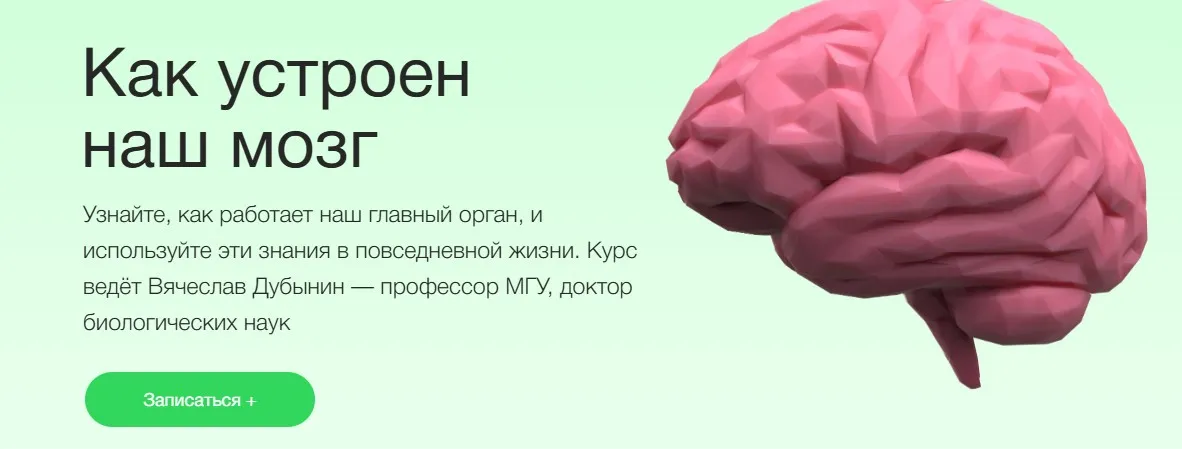 [Синхронизация] Как устроен наш мозг (Вячеслав Дубынин)