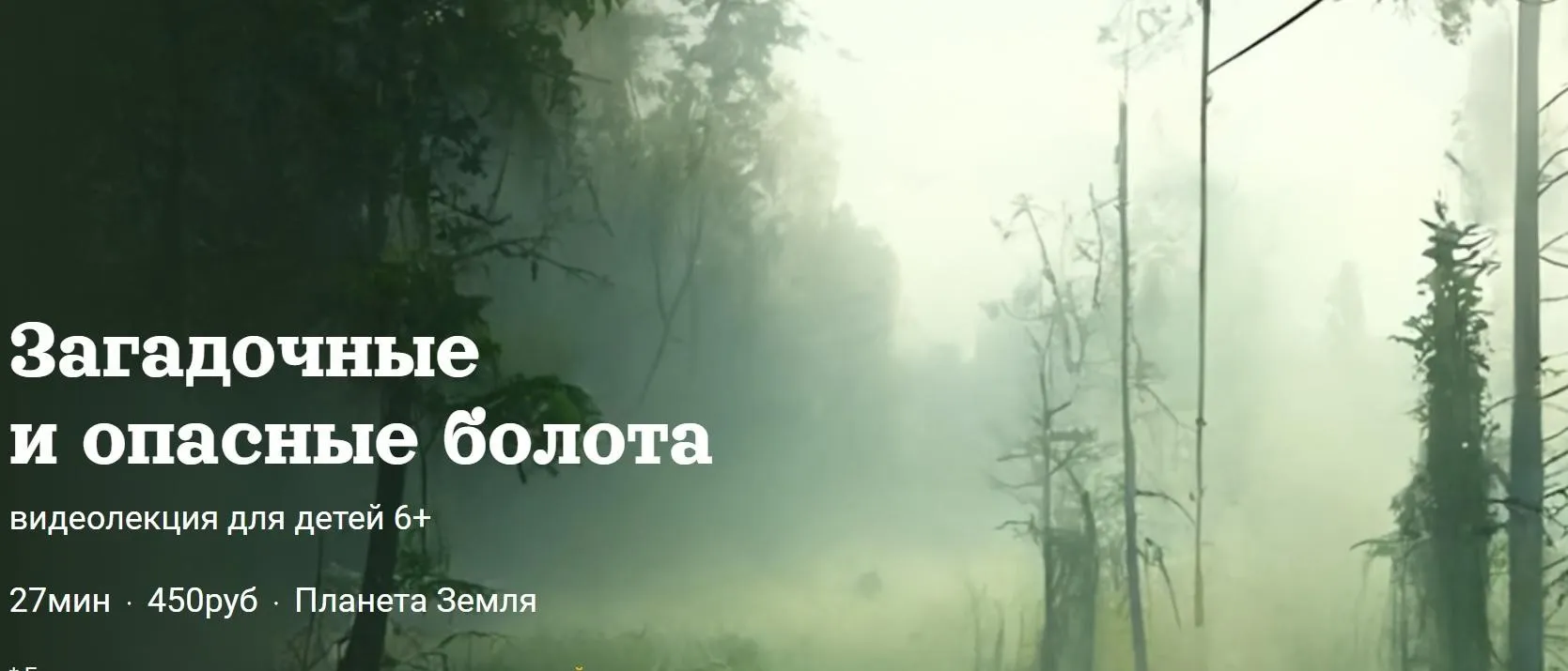 [Детский лекторий] Загадочные и опасные болота (Александр Толмачев)