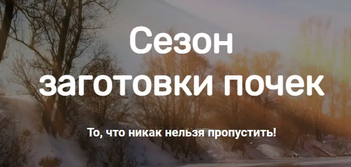[Школа траволечения Ольги Данилюк] Сезон заготовки почек (Ольга Данилюк)