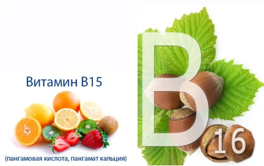 [Путь к здоровью] Зачем нам нужны b15 и b16? (Ольга Кондратьева)