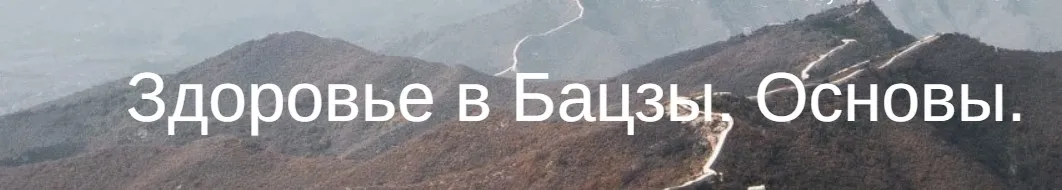 Здоровье в Бацзы. Основы (Юлия Бальсина)