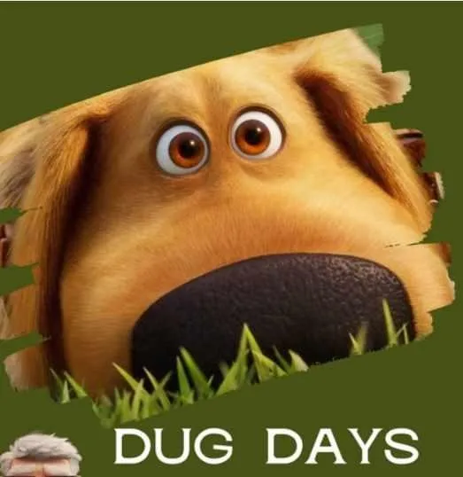 [English.annchim] Курс по мультику Dug's Days. 6 серий