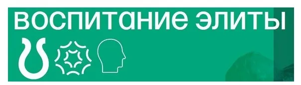 Воспитание элиты (Михаил Федоренко)