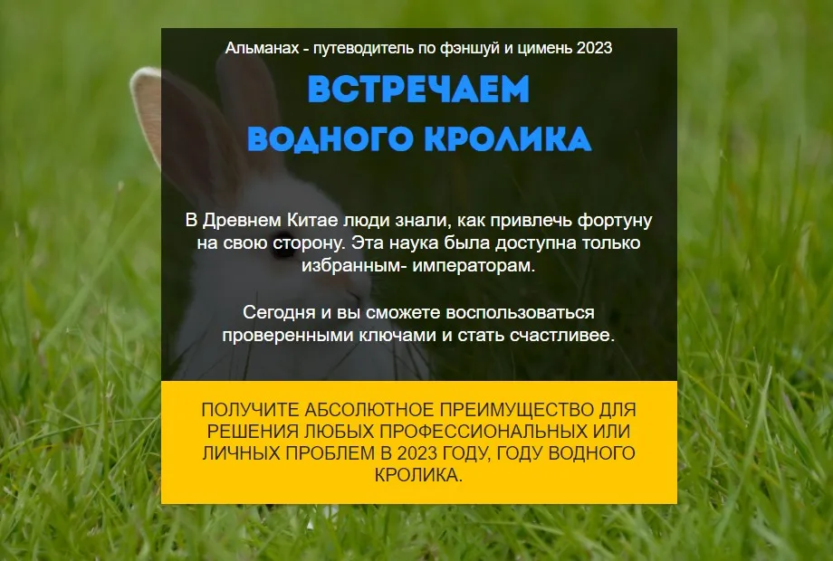 Путеводитель Фэншуй и Ци Мень. Год Водного Кролика 2023. Пакет VIP (Нинель Смолина)
