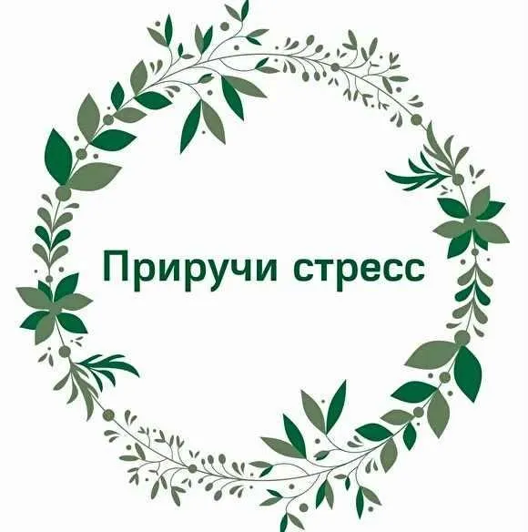 Приручи стресс (Наталья Кондакова)