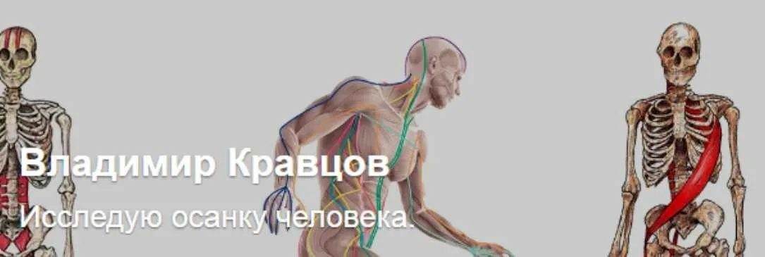 Ролики которых нет на Ютубе. Тариф Про осанку. Подписка на месяц (Владимир Кравцов)