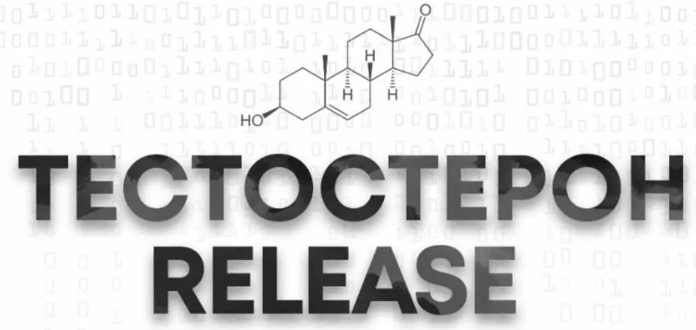 Тестостерон release 2019. Пакет Тестостерон (Арсен Маркарян)