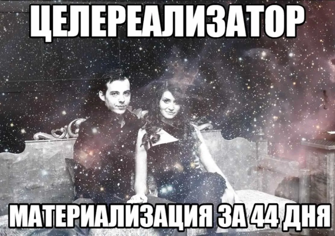 Целереализатор 1.0. Материализация целей за 44 дня (Нико Бауман)
