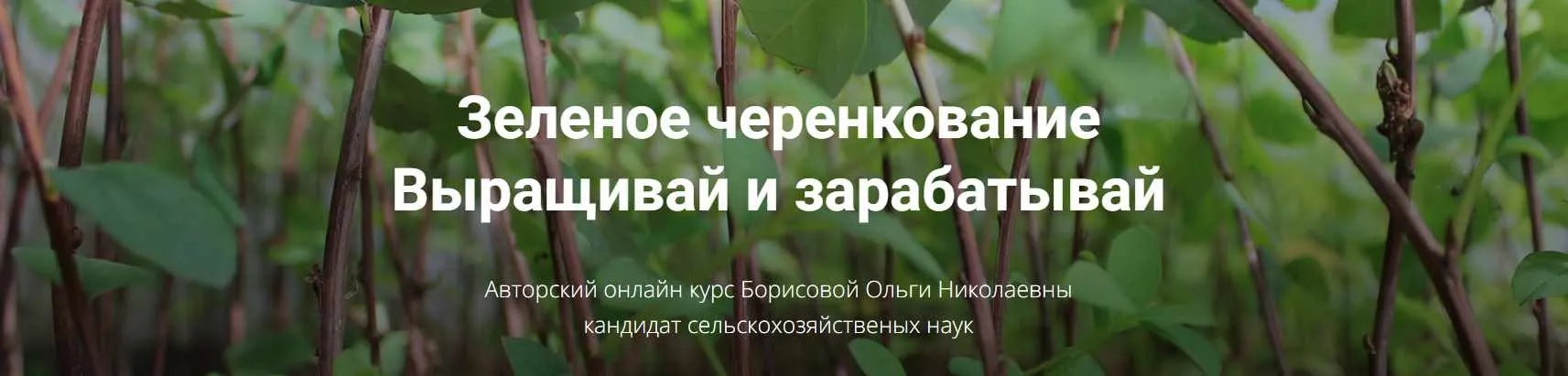 [Питомник растений Глория] Зеленое черенкование; Выращивай и Зарабатывай (Ольга Борисова)