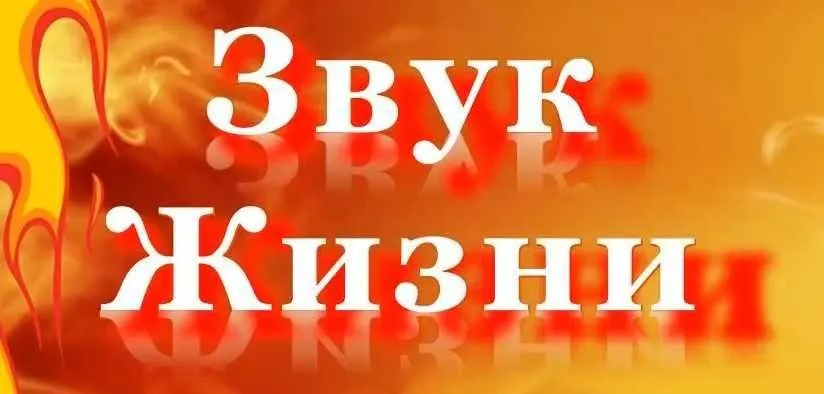 Звук жизни. 1-я сфера Я Есмь (Лариса Артамонова)
