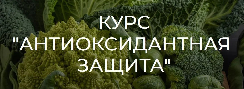 [ketogenic] Антиоксидантная защита (Валерий Подрубаев)
