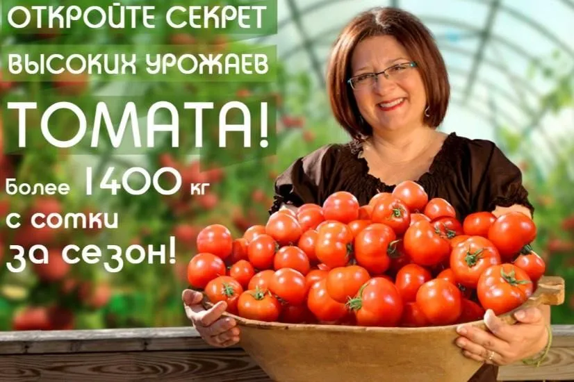 Высокоурожайное Выращивание Томатов + Огурцы + Картофель (Владимир Матвеев)