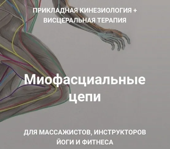 Миофасциальные цепи. Прикладная кинезиология + висцеральная терапия (Султан Фазлыахметов)