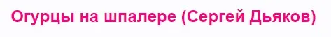 Огурцы на шпалере (Сергей Дьяков)