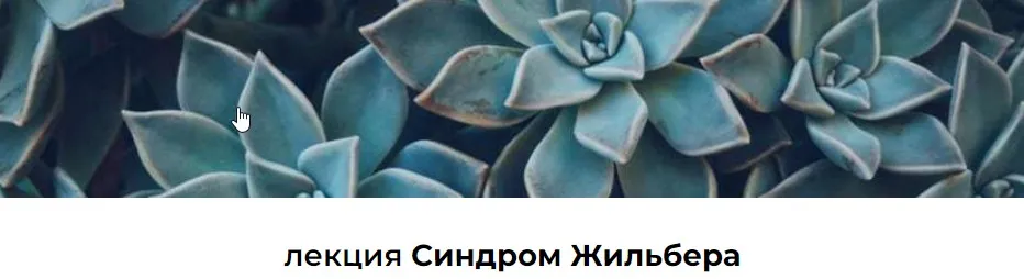 Лекция «Синдром Жильбера» (Венера Хабирова)