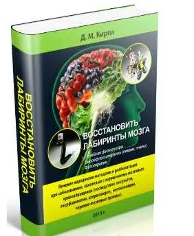 [dedvedun] Восстановить лабиринты мозга (Денис Кирпа)