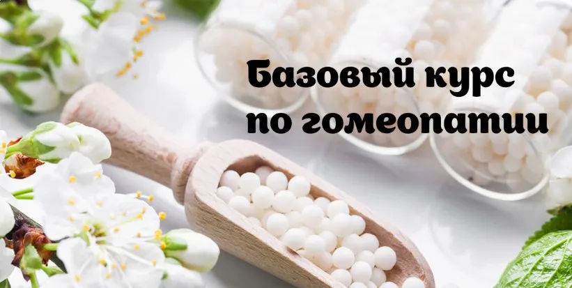 Базовый курс по гомеопатии. Обновленный 2025 (Наталья Радомская)
