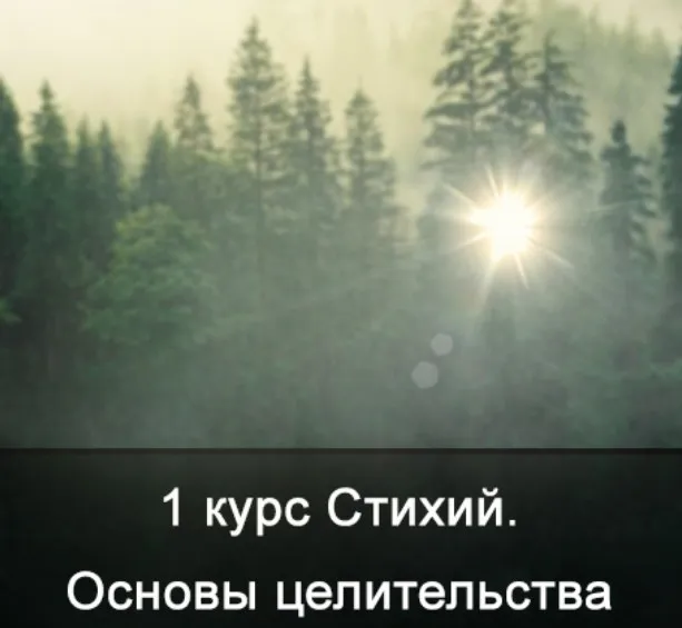 [Школа Меньшиковой] 1 курс Стихий. Основы Целительства (Ксения Меньшикова)