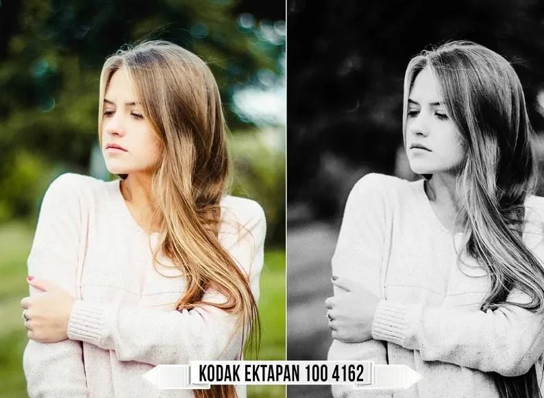 Eastman Kodak Black and White Film LUTs, 2021 (Raztrend)