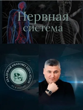[AnatomyEducation] Модуль 8. Нервная система (Эдгар Кафаров)