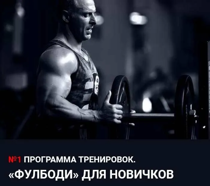 Фулбоди для новичков (Станислав Линдовер)