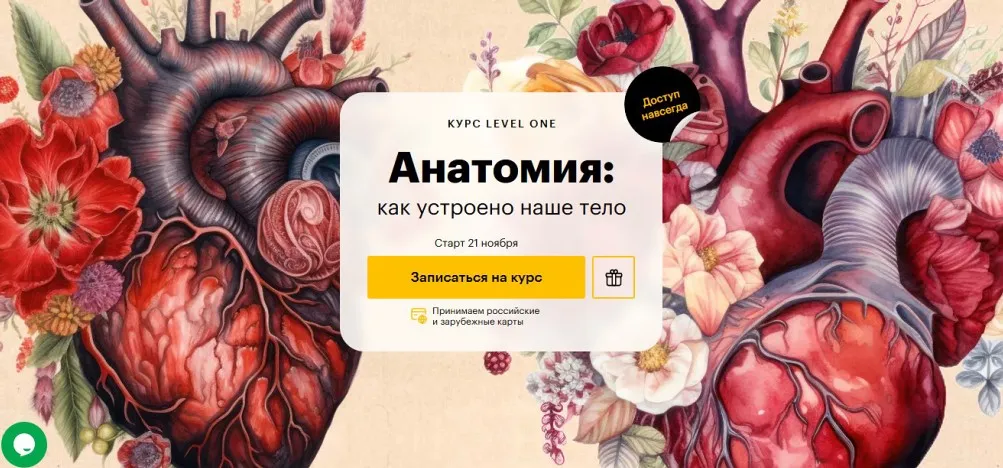 [Level One] Анатомия: как устроено наше тело (Егор Мусин, Мария Рабеко)