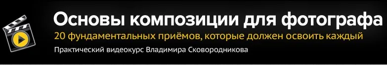 Основы композиции для фотографа (Владимир Сковородников)