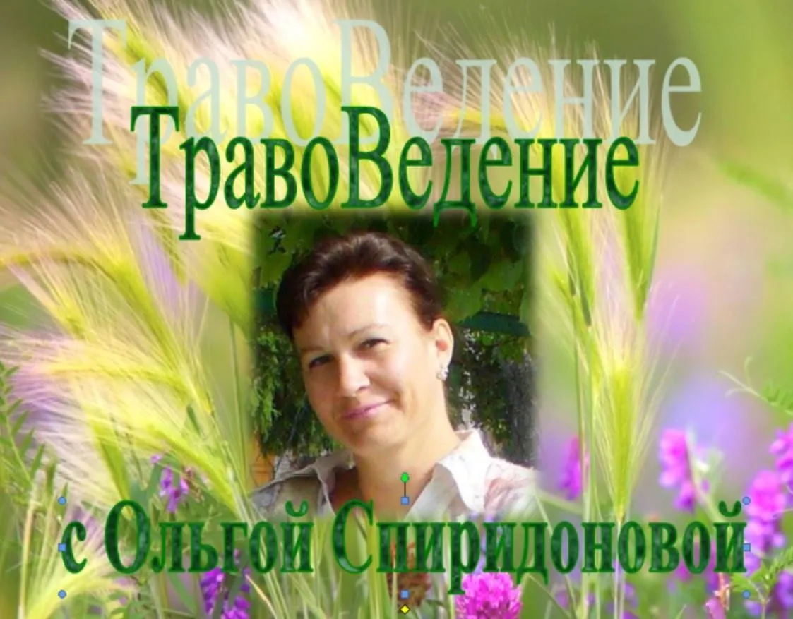 Сам себе целитель (Ольга Спиридонова)
