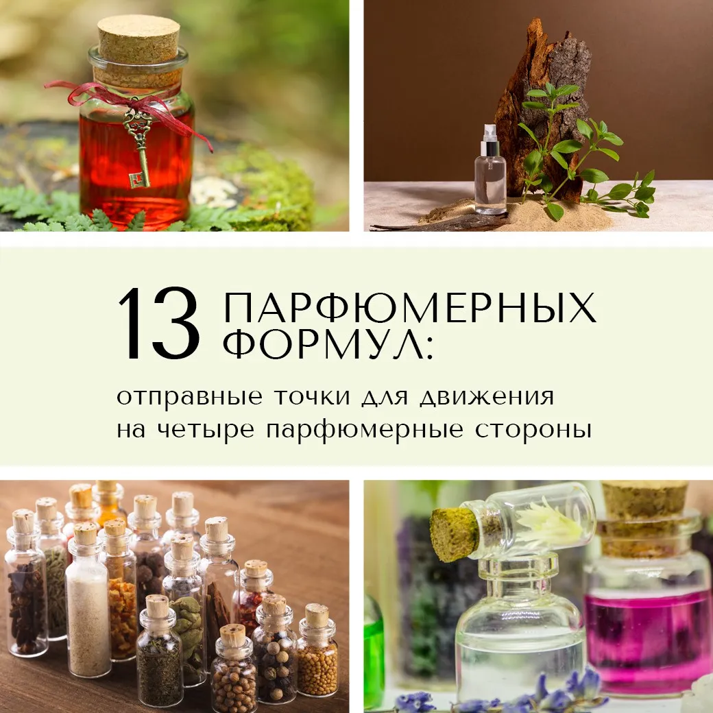 13 парфюмерных формул (Анна Зворыкина)