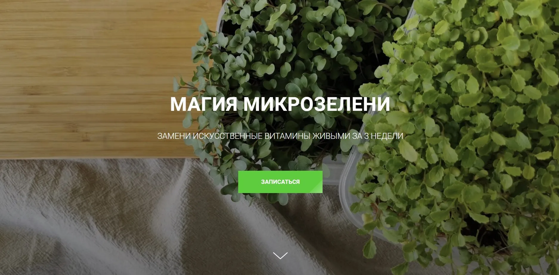 Магия микрозелени (Ольга Халина)