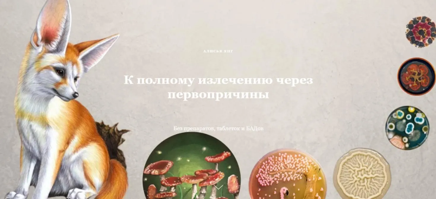 К полному выздоровлению через первопричины (Алисья Янг)