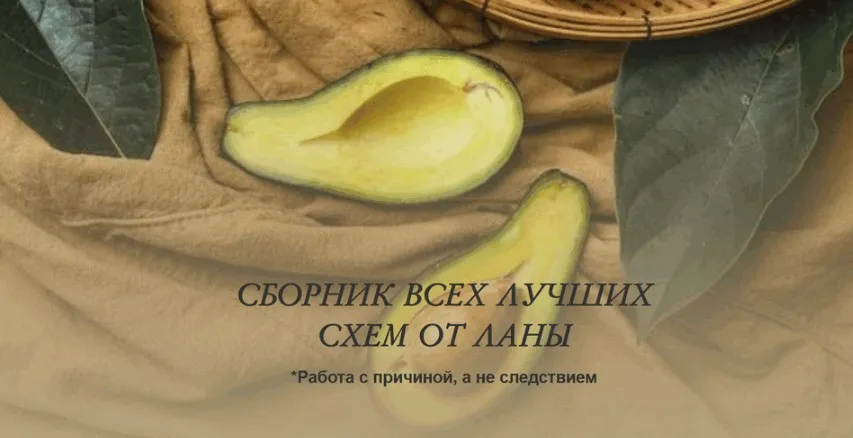 [Lana Dietolog] Сборник всех лучших схем от Ланы (Светлана Литвиненко)